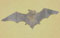 bats