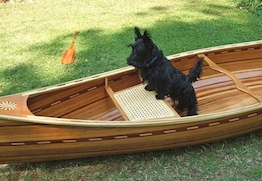 cane-1