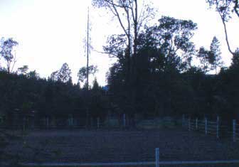 dusk