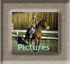 Pictures