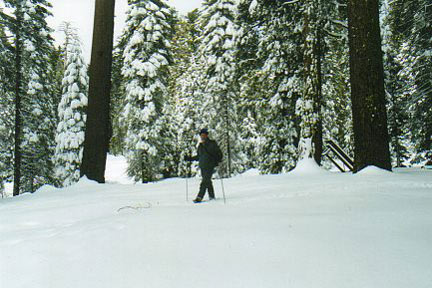 ski1