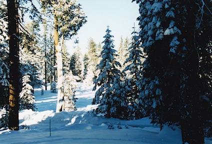 ski4