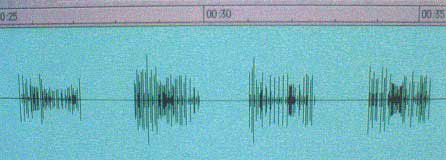 wavesynth